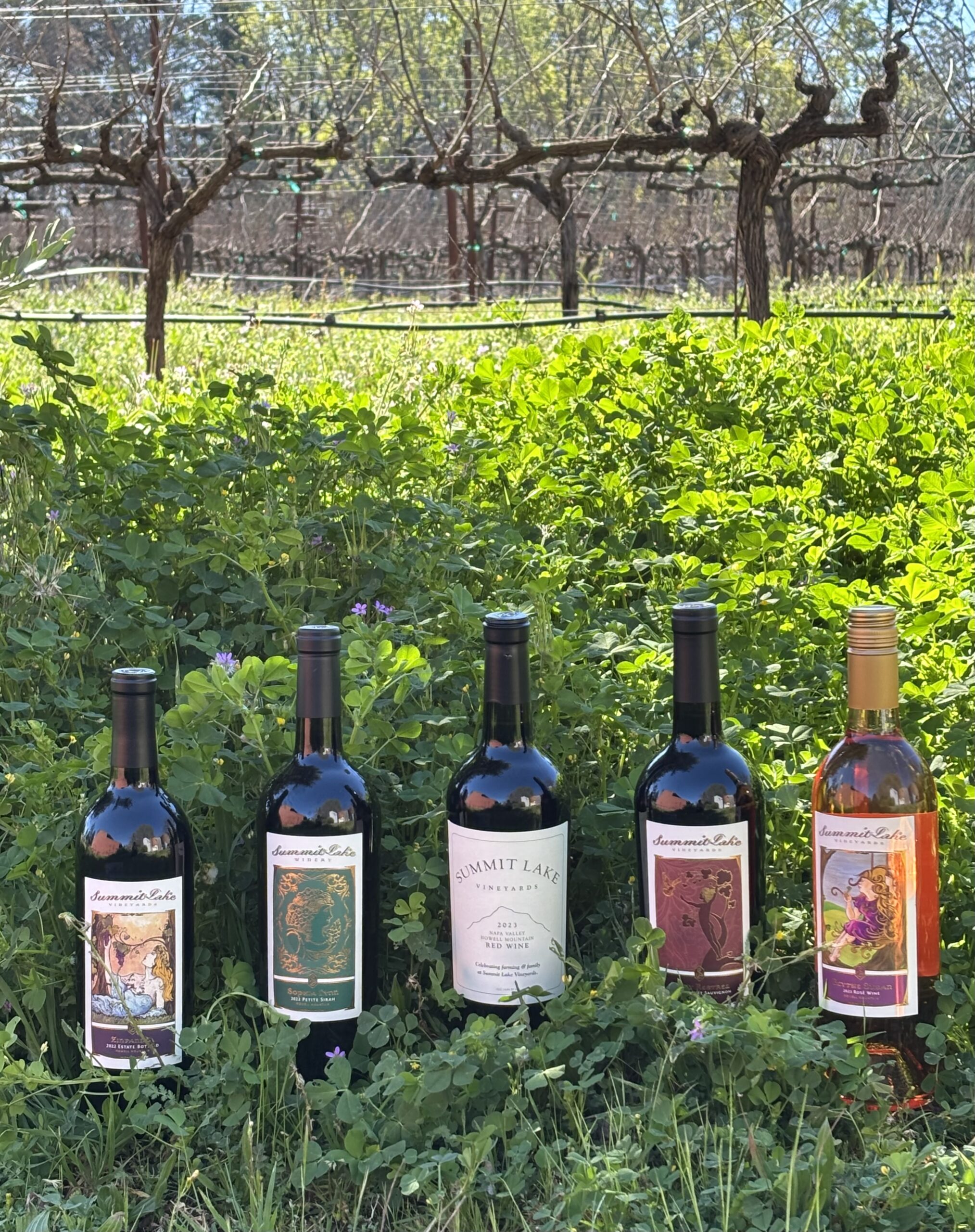 Five bottles of Summit Lake Vineyards wine displayed outdoors among green foliage in a vineyard setting.